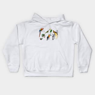 exotic birds Kids Hoodie